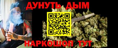 гашик Будённовск