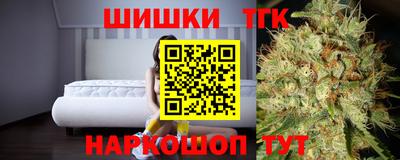 гашик Будённовск