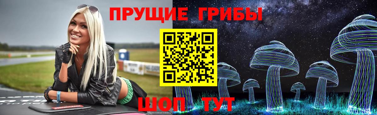 Галлюциногенные грибы Cubensis Малгобек