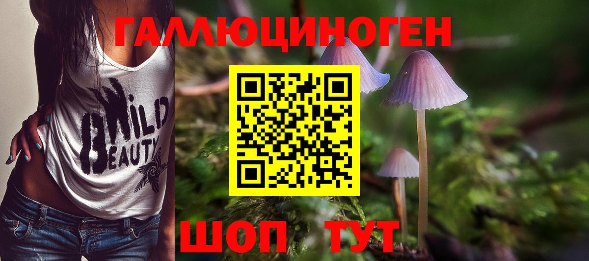 Галлюциногенные грибы MAGIC MUSHROOMS  Вход с VPN  Малгобек 